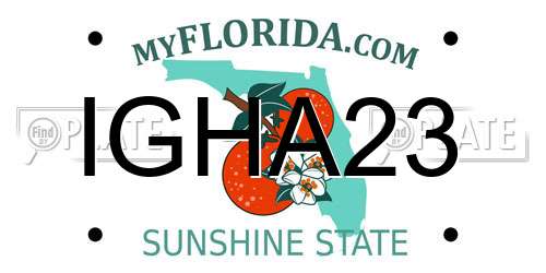 IGHA23 Florida License Plate