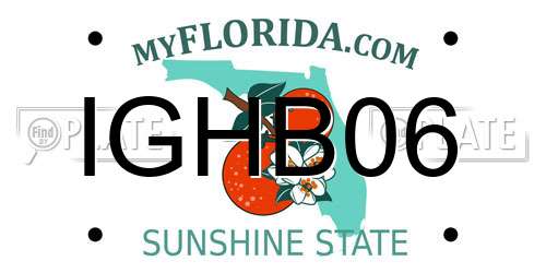 IGHB06 Florida License Plate