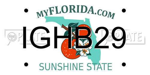 IGHB29 Florida License Plate