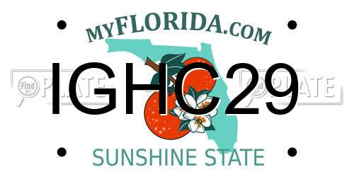 IGHC29 Florida License Plate