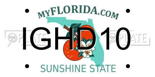IGHD10 Florida License Plate