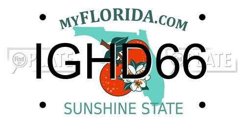 IGHD66 Florida License Plate