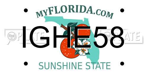 IGHE58 Florida License Plate