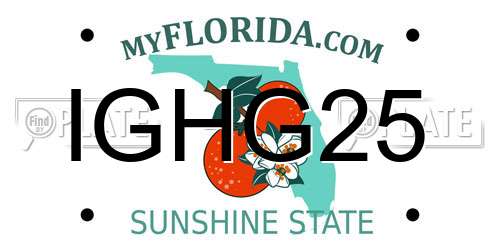 IGHG25 Florida License Plate