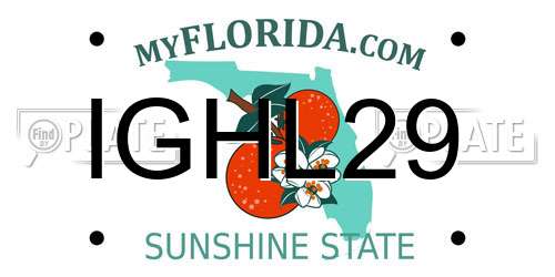 IGHL29 Florida License Plate