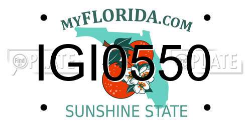 IGI0550 Florida License Plate