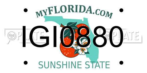 IGI0880 Florida License Plate