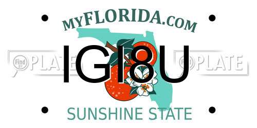 IGI8U Florida License Plate