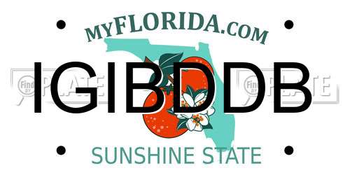 IGIBDDB Florida License Plate