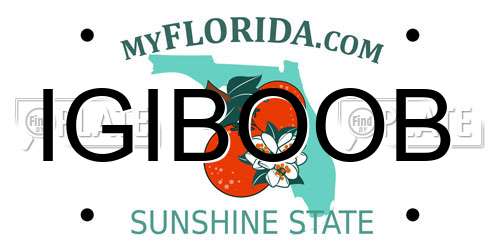 IGIBOOB Florida License Plate