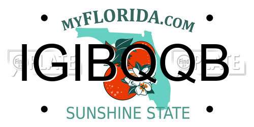 IGIBQQB Florida License Plate