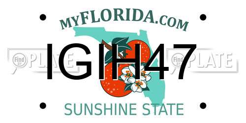 IGIH47 Florida License Plate