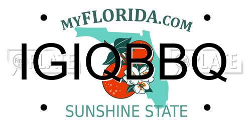 IGIQBBQ Florida License Plate