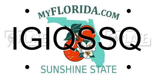 IGIQSSQ Florida License Plate