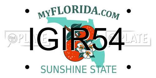 IGIR54 Florida License Plate