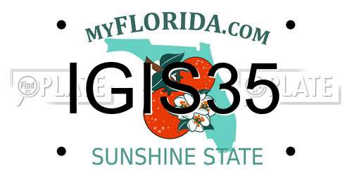 IGIS35 Florida License Plate