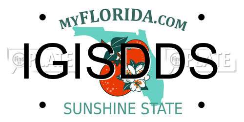 IGISDDS Florida License Plate