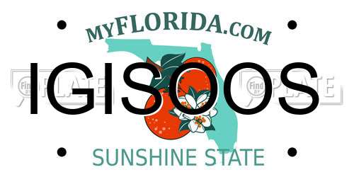 IGISOOS Florida License Plate