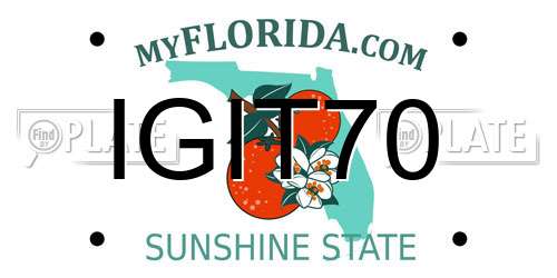 IGIT70 Florida License Plate