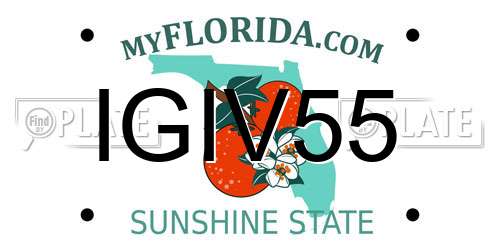 IGIV55 Florida License Plate