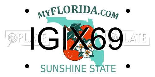 IGIX69 Florida License Plate