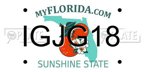IGJG18 Florida License Plate