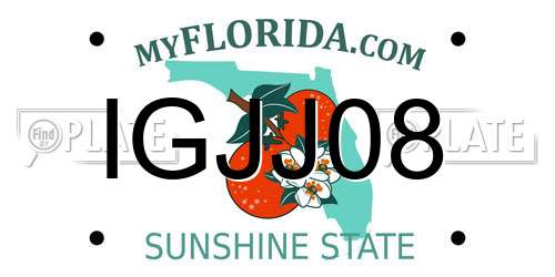 IGJJ08 Florida License Plate