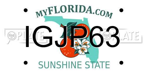 IGJP63 Florida License Plate