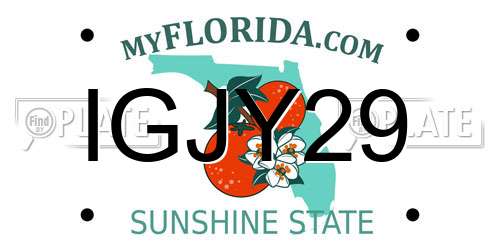IGJY29 Florida License Plate