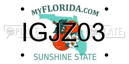 IGJZ03 Florida License Plate