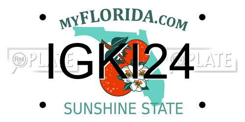 IGKI24 Florida License Plate