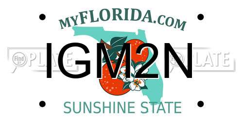 IGM2N Florida License Plate