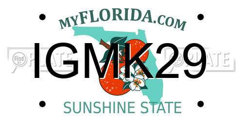 IGMK29 Florida License Plate