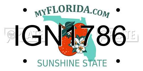 IGN1786 Florida License Plate