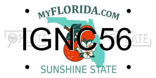IGNC56 Florida License Plate