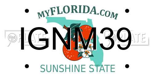 IGNM39 Florida License Plate