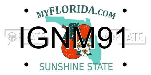 IGNM91 Florida License Plate