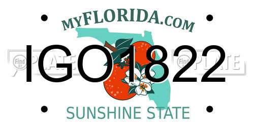 IGO1822 Florida License Plate