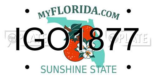 IGO1877 Florida License Plate