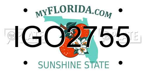 IGO2755 Florida License Plate