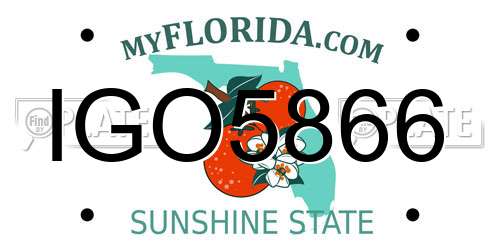 IGO5866 Florida License Plate