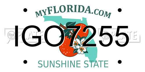 IGO7255 Florida License Plate