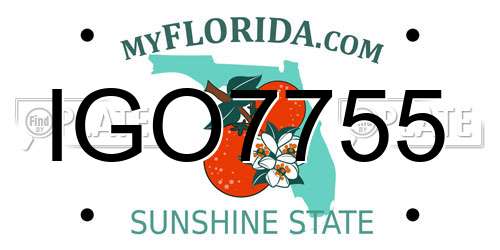 IGO7755 Florida License Plate