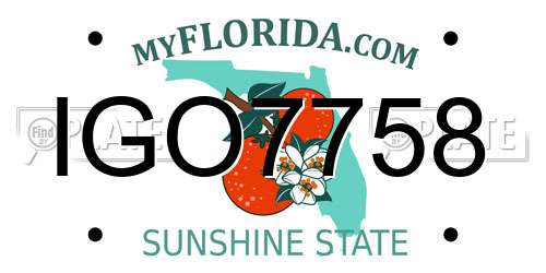 IGO7758 Florida License Plate