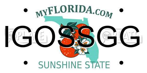 IGOSSGG Florida License Plate