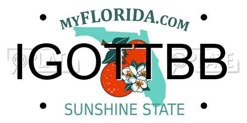 IGOTTBB Florida License Plate
