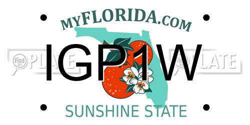 IGP1W Florida License Plate