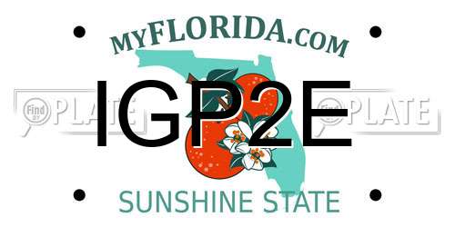 IGP2E Florida License Plate