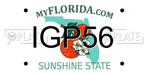 IGP56 Florida License Plate