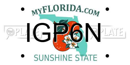 IGP6N Florida License Plate